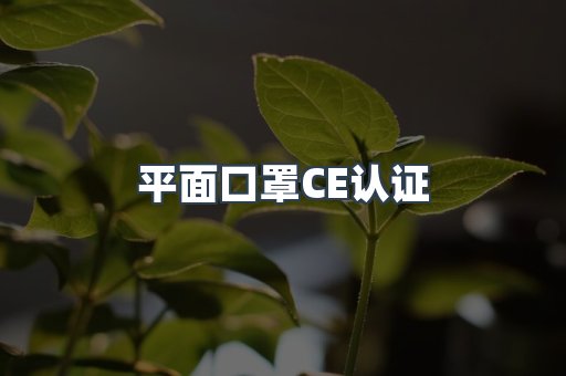 平面口罩CE认证