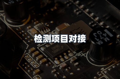 检测项目对接